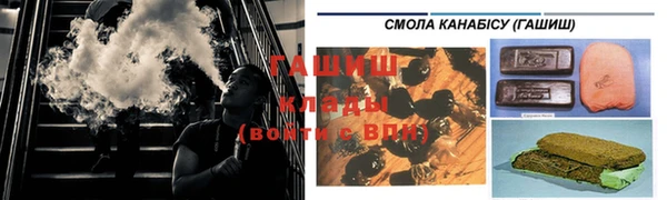 стафф Арсеньев