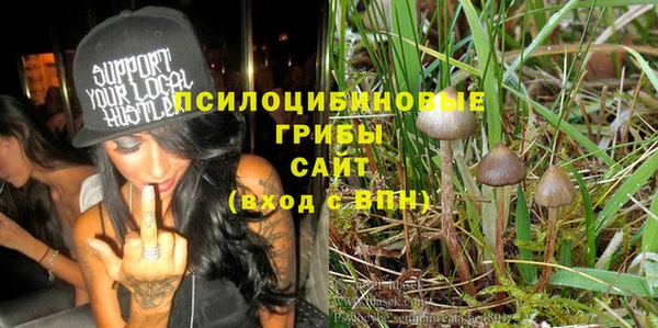 прущий лед Алзамай