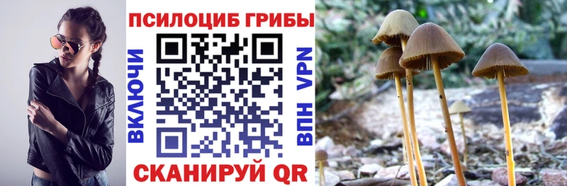 Псилоцибиновые грибы Magic Shrooms  mega зеркало  Коломна  наркотики 